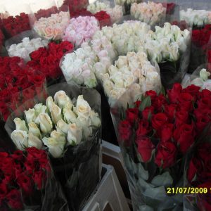Рози