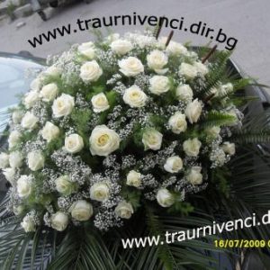 Пиафлора 9